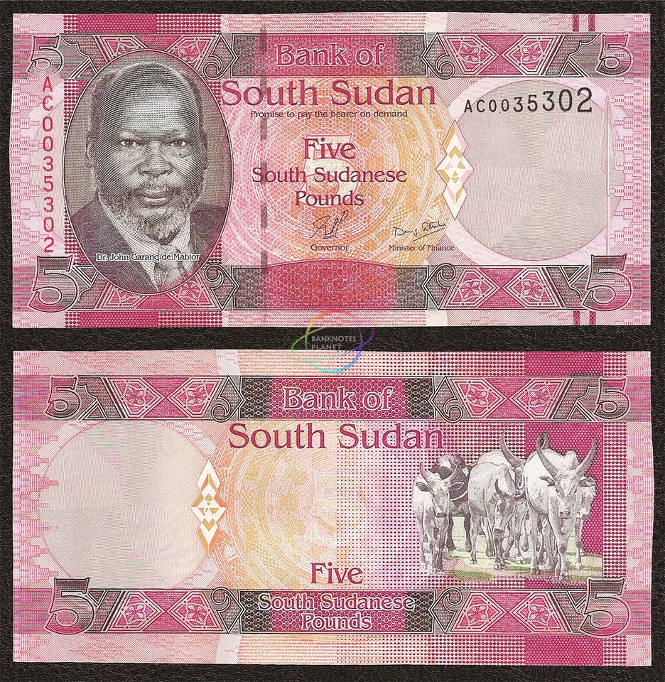 SOUTH SUDAN SET 3 PCS 1 5 10 Pound X 100 PCS 2011 P-5 6 7 UNC 300 PCS - Image 3 of 4
