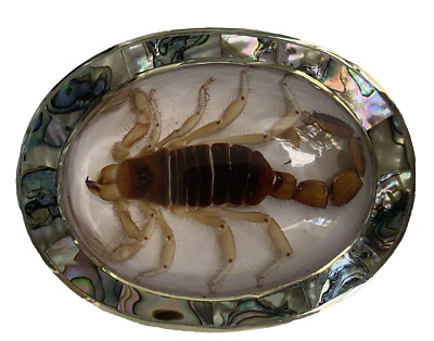 Real Scorpion Belt Buckle Western Cowboy Metal Hecho en Mexico Vintage Men Women