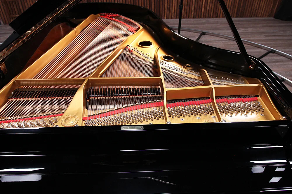 Yamaha C3 Grand Piano 6'1