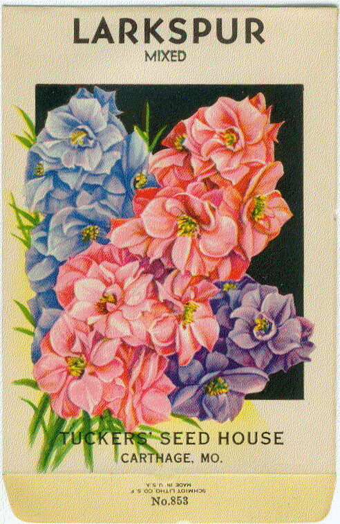 LARKSPUR Vintage Flower Seed Packet "NO SEEDS" 1920s Original Lithograph