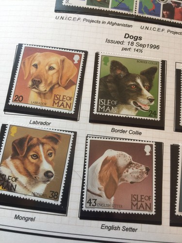 Isle of man Mint stamps 1996 Dogs 18 Sept 1996 Mint MNH - Picture 2 of 3