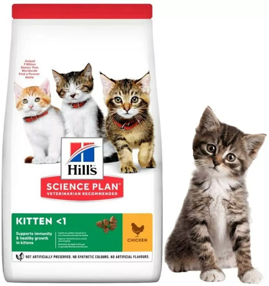 Science plan cheap kitten food