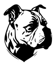 XL american Bully Pitbull Dog Car Van Vinyl Sticker 