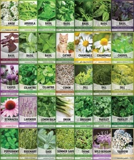 35 Medicinal & Culinary Herb Seeds Variety Pack – Heirloom Non-GMO Garden Kit...