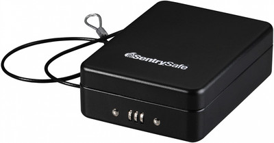 SentrySafe P005C Portable Safe, 0.05 Cubic Feet, Black 