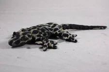 Lizard Gecko Lizards Geckos Figure Spotted Reptile Amphibian Beanbag Amitabha