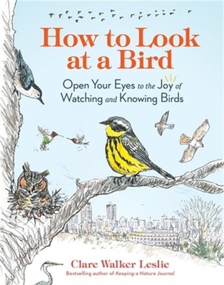How to Look at a Bird: Open Your Eyes to the Joy of Watching and Knowing Birds (