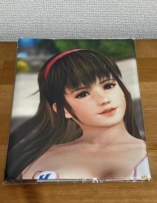 Hitomi Dead or Alive Xtreme 3 Scarlet B2 Fabric Limited Poster Neu