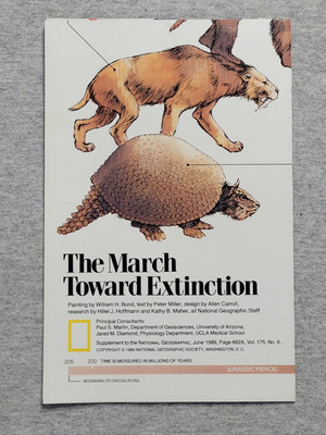National Geographic Supplement Map Insert June 1989 March Toward Extinction 