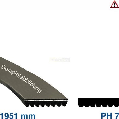 Rippenriemen Rippen 1951PH7 1951H7 AEG 150612403/9 WHP 481235818156  03850301
