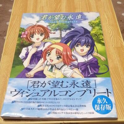 Kimi ga Nozomu Eien Visual Complete book