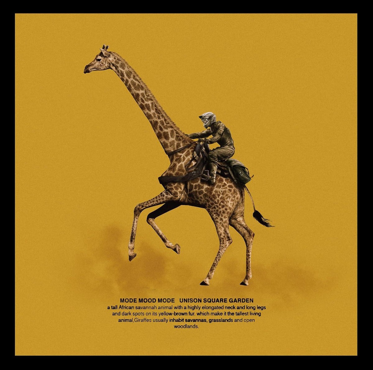 CD MODE MOOD MODE (Limited Edition B) [CD+DVD] Japan UNISON SQUARE 