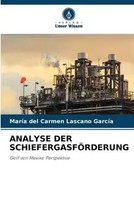 MaríA Del Carmen Lascano GarcíA | Analyse Der SchiefergasfÖRderung | Taschenbuch