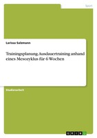 Larissa Salzmann | Trainingsplanung. Ausdauertraining Anhand Eines Mesozyklus...