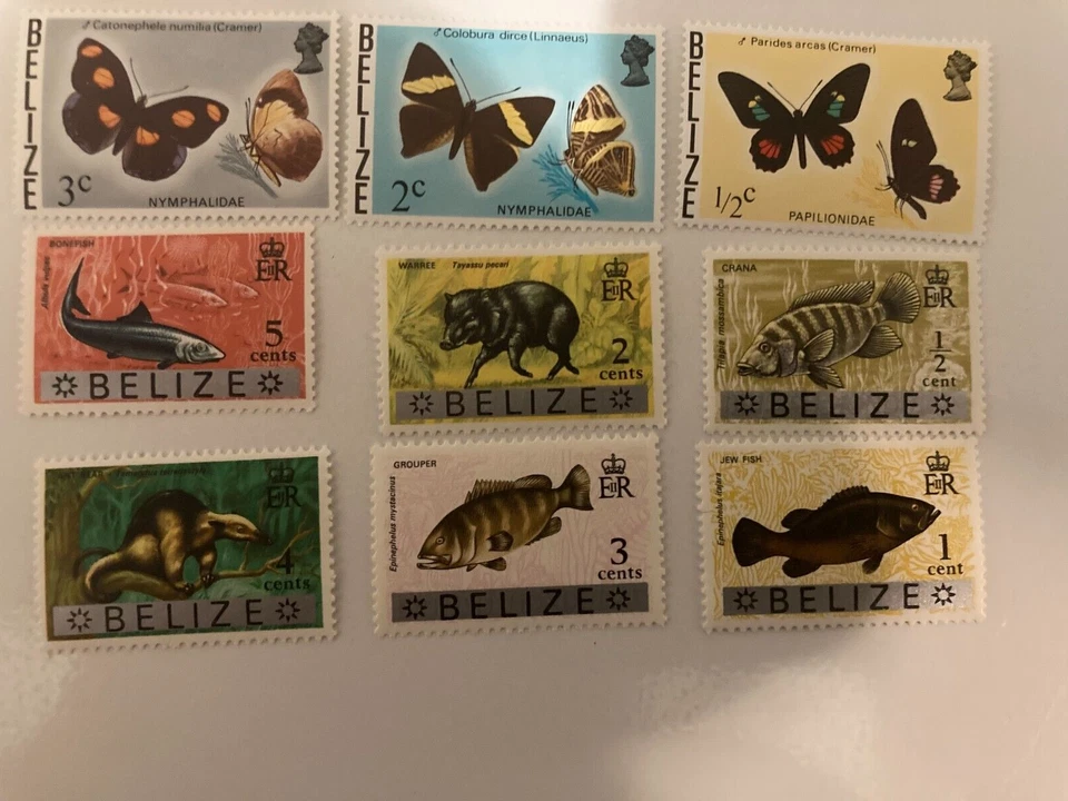 1973-1974 Set of 12 Butterfly and Fish Stamps From Belize MNH — 第 4/4 张图片