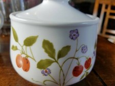 Discontinued Noritake Berries 'n Such Dinnerware