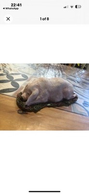 Extrem seltene Vintage ORIGINALITÄTEN Schwein Sammlung 1998 Geschenkkleidung