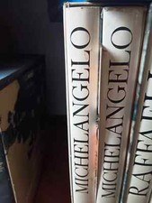 MICHELANGELO artista pensatore scrittore De Agostini 2 volumi di prestigio arte