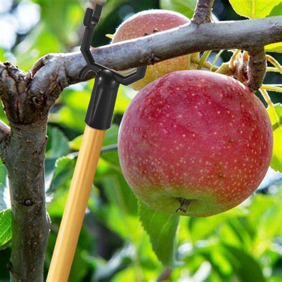 SPORTARC Aststützen 8er Set - Aluminium Zweigstützen Für Obstbäume & Gärten