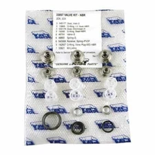 1 PC CAT Pumps 33057 Valve Kit for 2DX and 3DX Pumps