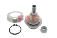 Traggelenk FüHrungsgelenk Schaeffler FAG 825 0104 10 FüR Ford Transit Tourneo F3