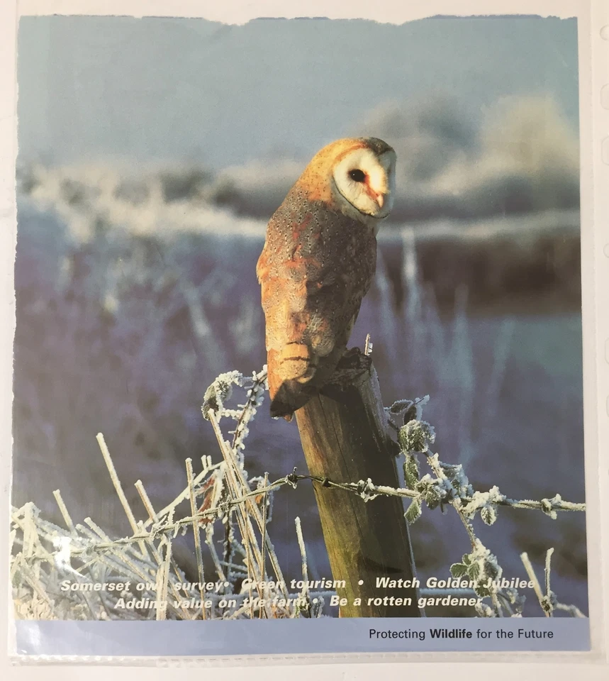 Piezas de tarjetas cubiertas de vida silvestre de aves UK2255 Foto 4 de 4