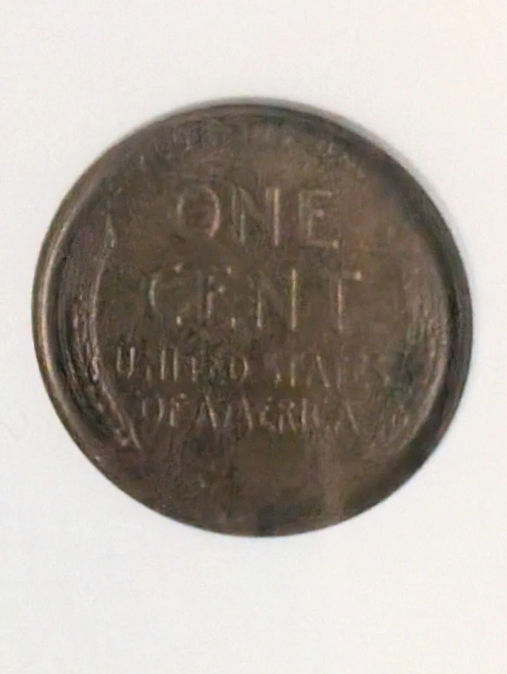 1909-S VDB Lincoln Wheat Penny 1C XF EF 45 ANACS small old holder - Image 4 of 4