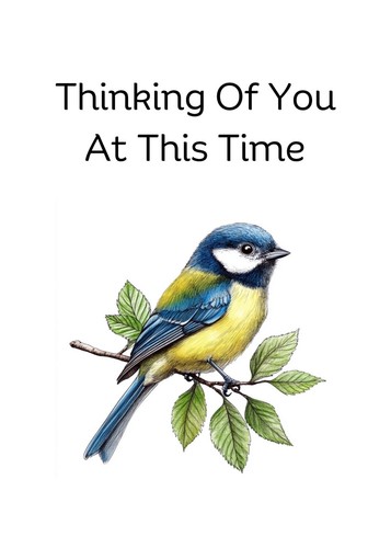 Thinking of You Card Garden Bird Design Sympathy Condolence Card Miss You - Picture 3 of 3