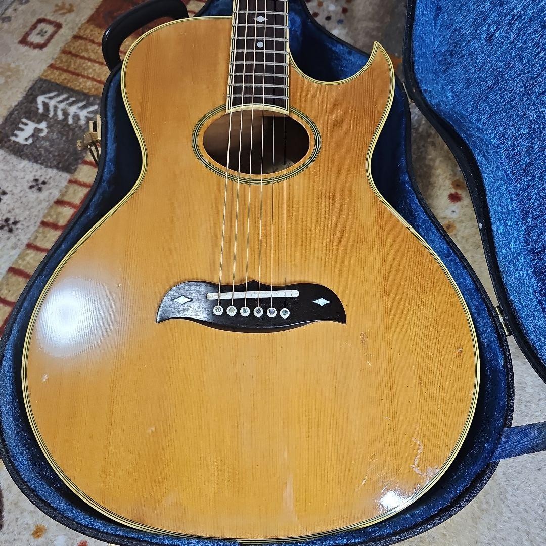 Aria Elecord FE-60 【公式通販】