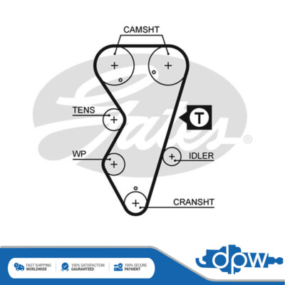 ルチア Fits Citroen Xantia ZX Peugeot 306 405 2.0 Timing Cam Belt DPW