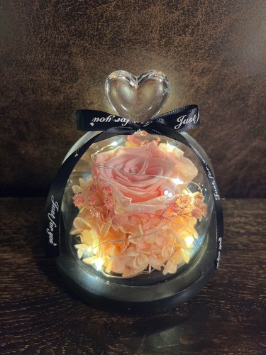 Eternal Rose flower Preserved rose everlasting rose flower gift with Led Light - Picture 22 of 23