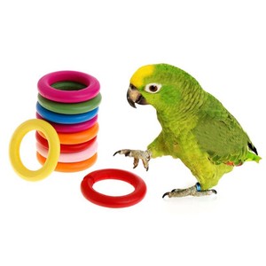 parrot toys ebay