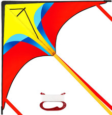 55.9'' Kites Easy to Fly for Kids Adults with 328.1 FT String, Beach Kite Outdoo