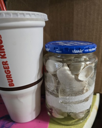 Sea Shells In Glass Jar. Clean. Craft Barbie Doll clutter + Great Angel Wings! - Picture 3 of 6