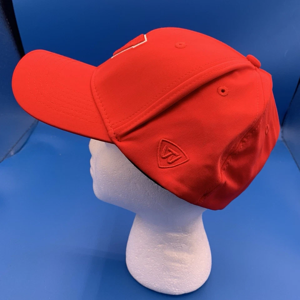 Wisconsin Badgers Sombrero Gorra Algodón Relajado Un Ajuste Flex Clásico Papá Sombrero NUEVO Foto 4 de 4