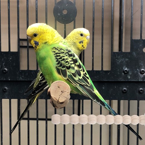 Papagei Barsch Vogelkäfig Holz Barsch Papagei Pfote Schleifstab Papageienständer - Bild 2 von 12