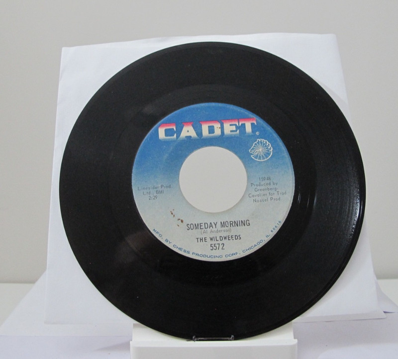 45 RECORD - THE WILDWEEDS - SOMEDAY MORNING