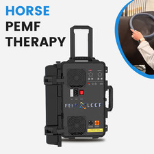 2026PMST Loop PEMF Pulsed Eletromagnetic Feild Sport Injury Pain Therapy Machine
