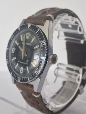 Vintage Splendor Skin Divers