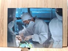 The X-Files?1996 Intrepid  #67 Trading Card?FREE POST