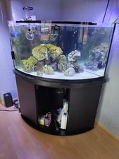 375L Meerwasser Aquarium inkl. Technik u. Unterschrank