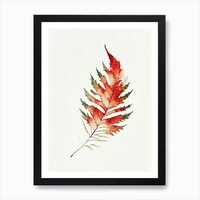 Western Red Cedar Leaf Minimalist W Framed Wall Art Poster Canvas Print Picture