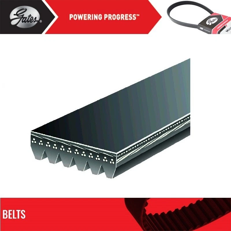 Puertas de cinturón Serpentine para ACURA RDX V6-3,5 L 2013-2015 Foto 2 de 4