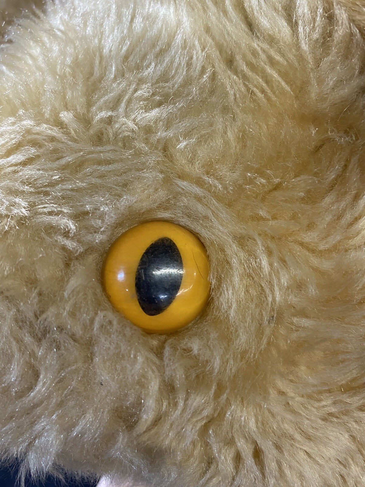 Picture 6 of 13