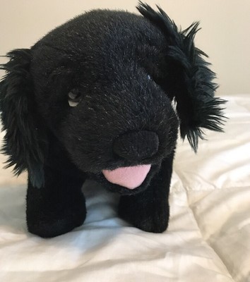 black puppy stuffed animal