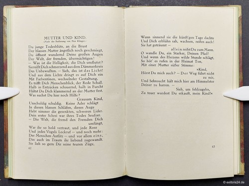 Jeanne Berta Semmig: Pero cayó brillantemente (firmado): Poemas (1910) - Imagen 3 de 5