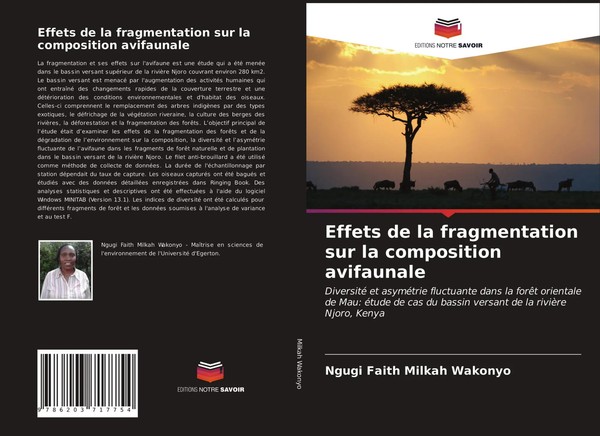 Ngugi Faith Milkah Wakonyo | Effets De La Fragmentation Sur La Composition...-image