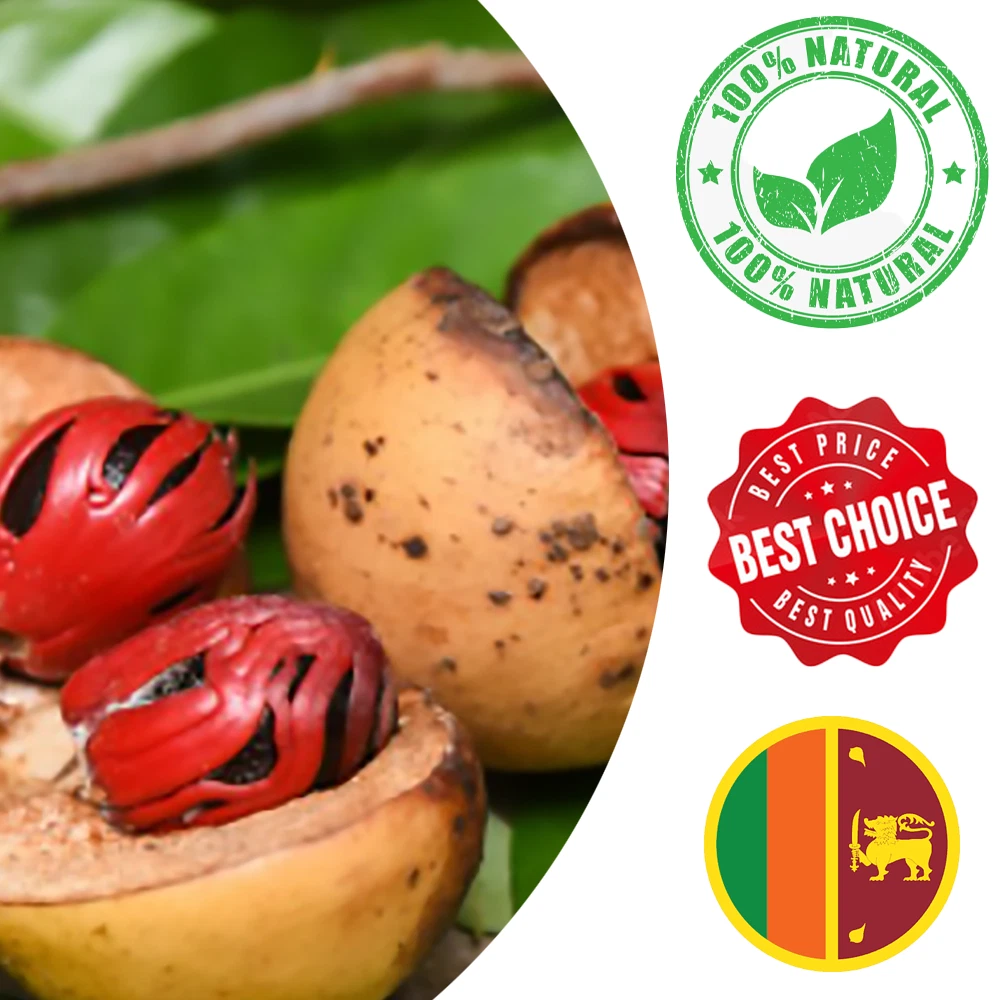 What Is Difference Between Javitri And Jaiphal Mace Vs, 56 OFF