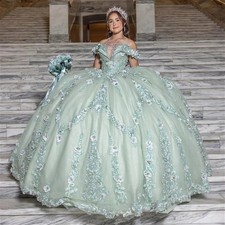 Princess Quinceanera Dresses Pleat Lace Applique Off Shoulder Sweet 16 Ball Gown
