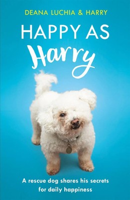 Happy as Harry | A rescue dog shares his secrets for daily happiness | Luchia